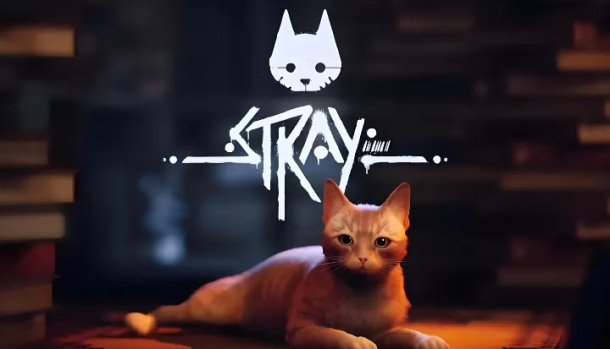 流浪猫.Stray