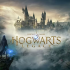 霍格沃茨之遗.Hogwarts Legacy