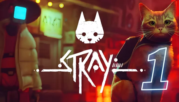 流浪猫.Stray