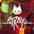 流浪猫.Stray
