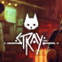 流浪猫.Stray
