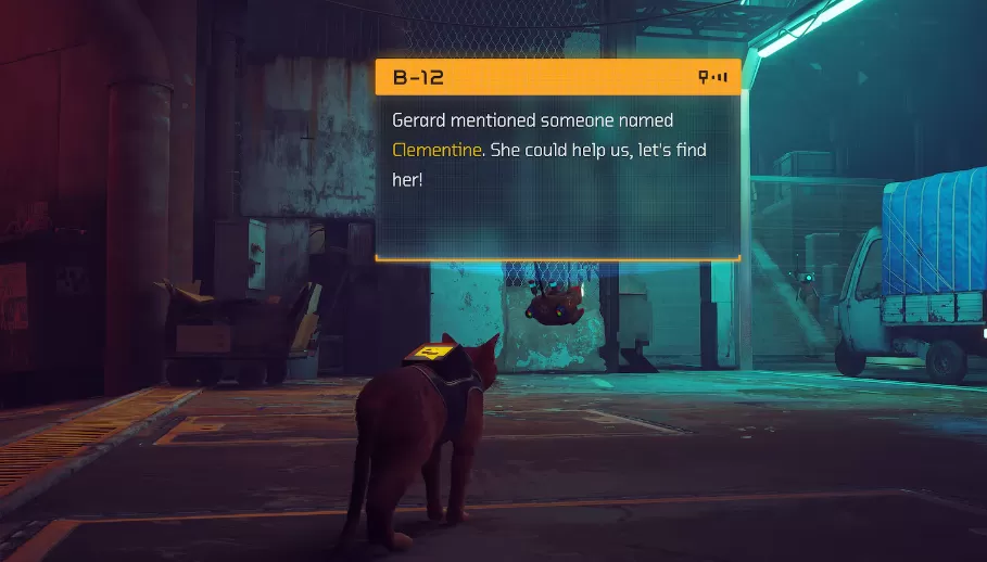 流浪猫.Stray 第3张 流浪猫.Stray 第3张