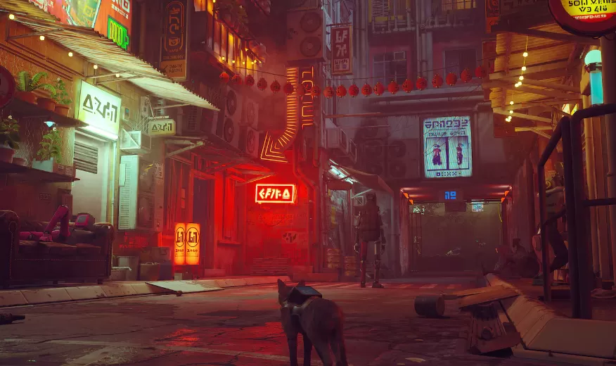 流浪猫.Stray 第4张 流浪猫.Stray 第4张