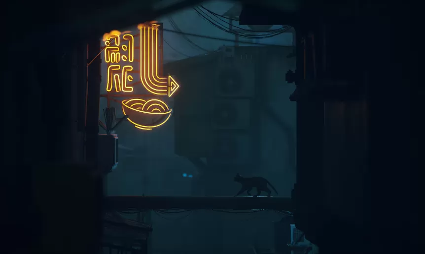 流浪猫.Stray 第2张 流浪猫.Stray 第2张