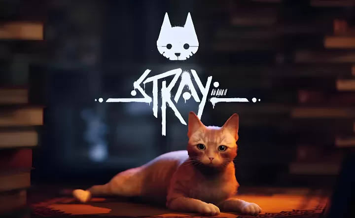 流浪猫.Stray 第1张 流浪猫.Stray 第1张