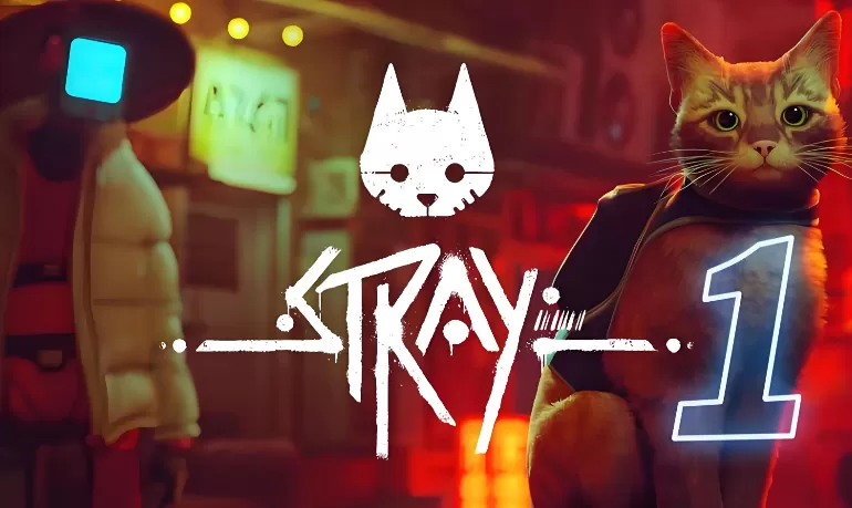 流浪猫.Stray 第1张 流浪猫.Stray 第1张
