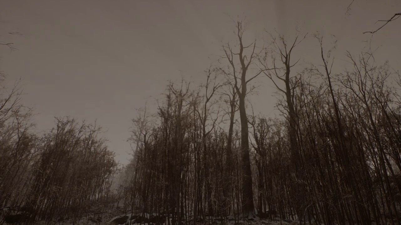 遗弃：DEMO.Abandoned Demo 第4张