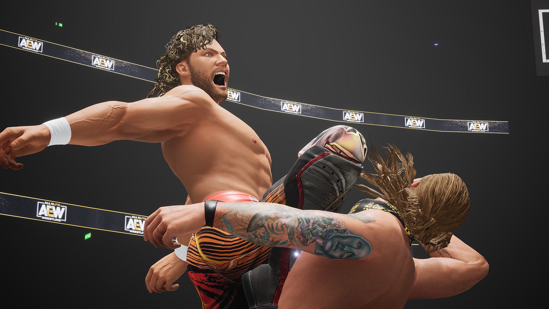 全精英摔角:永远战斗.All Elite Wrestling: Fight Foreve 第3张 全精英摔角:永远战斗.All Elite Wrestling: Fight Foreve 第3张