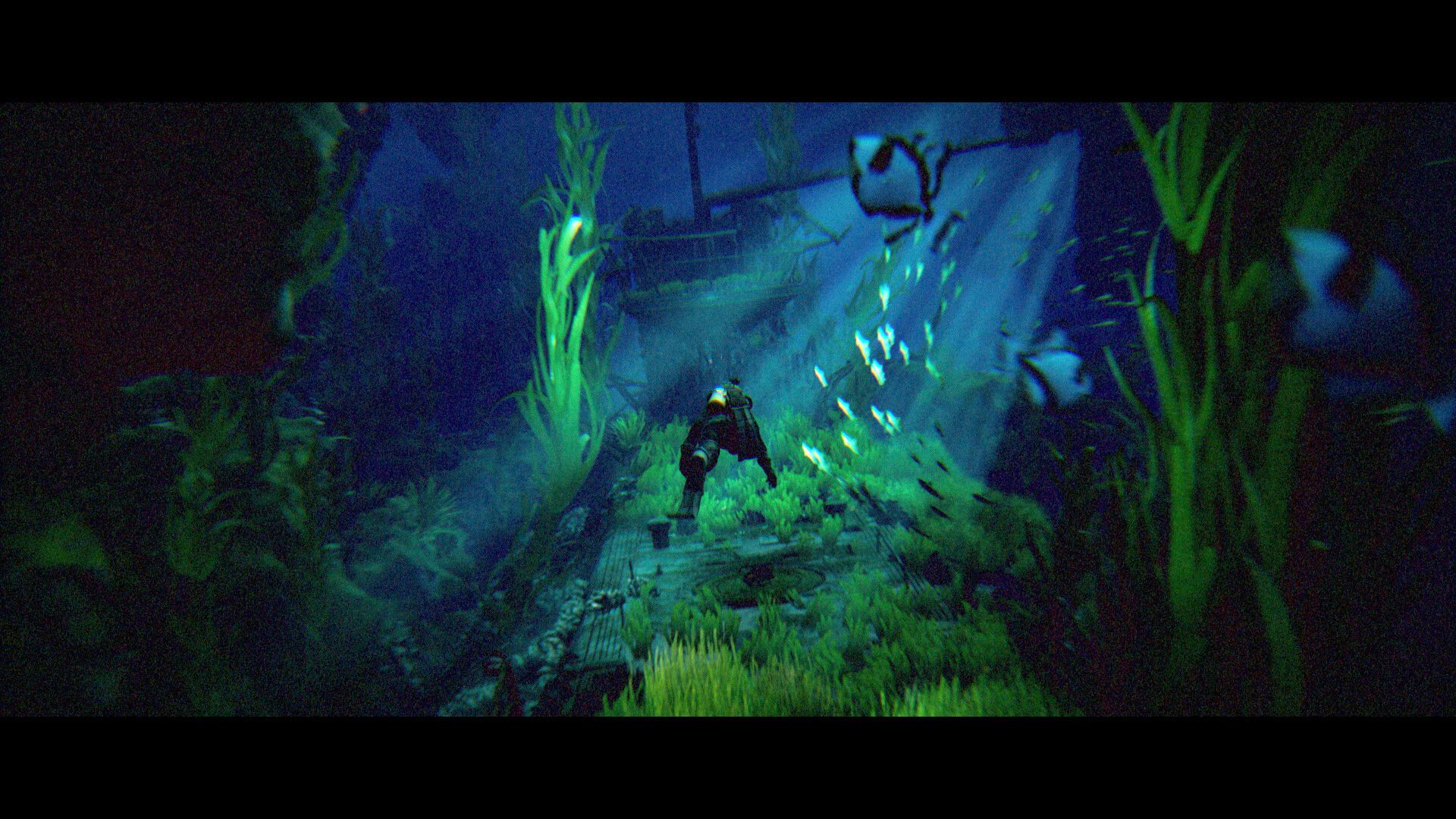 碧波之下 Under The Waves 第4张 碧波之下 Under The Waves 第4张