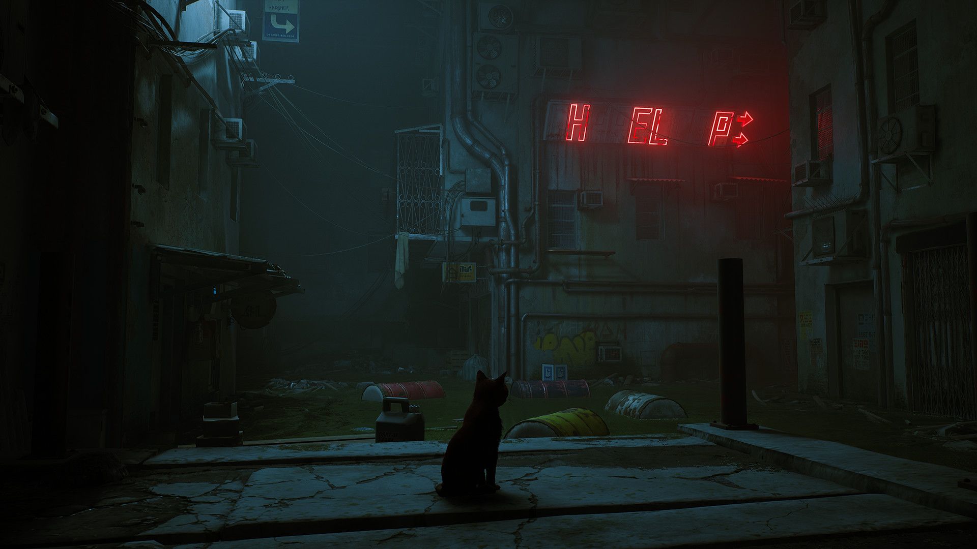 流浪猫.Stray 第4张 流浪猫.Stray 第4张