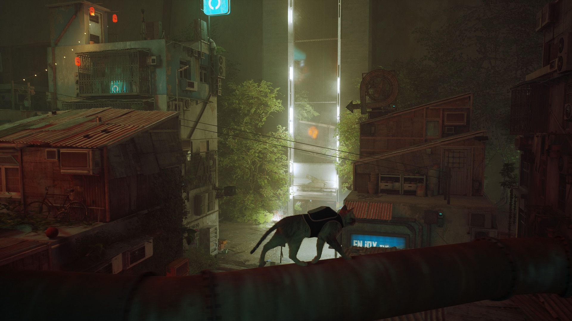 流浪猫.Stray 第7张 流浪猫.Stray 第7张