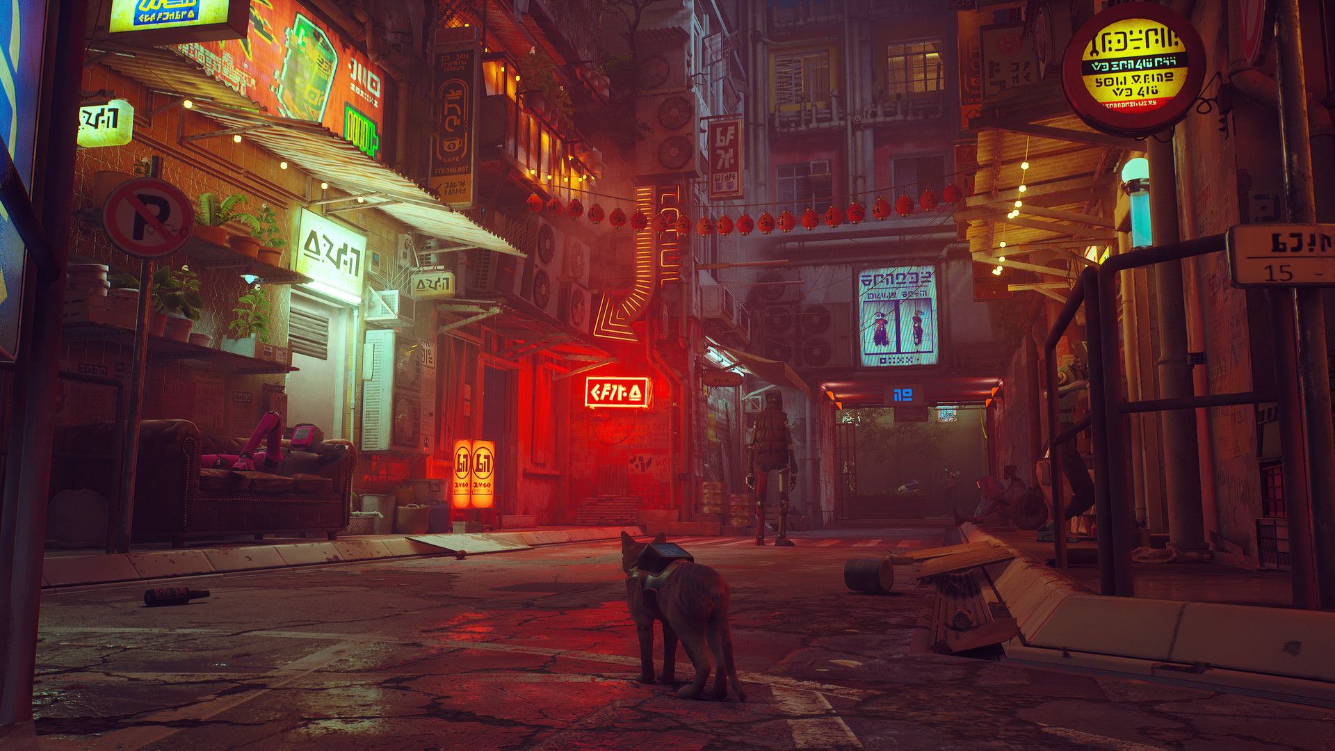 流浪猫.Stray 第8张 流浪猫.Stray 第8张