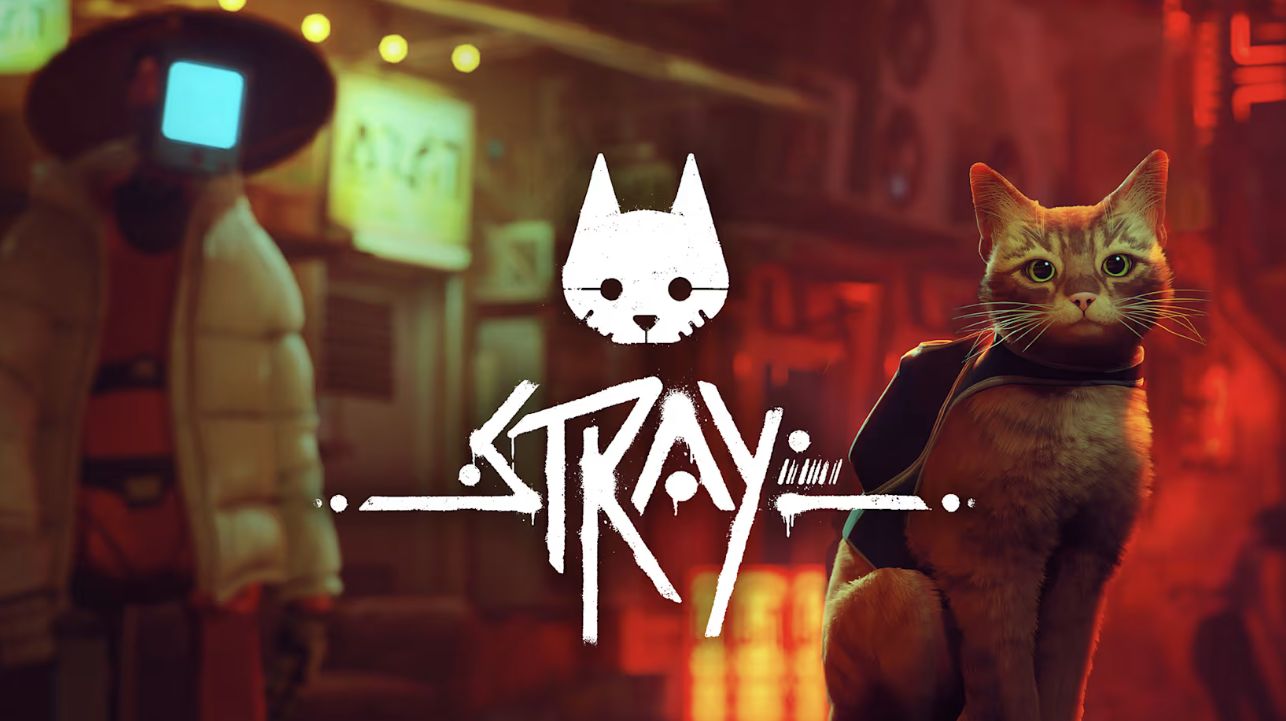 流浪猫.Stray 第1张 流浪猫.Stray 第1张