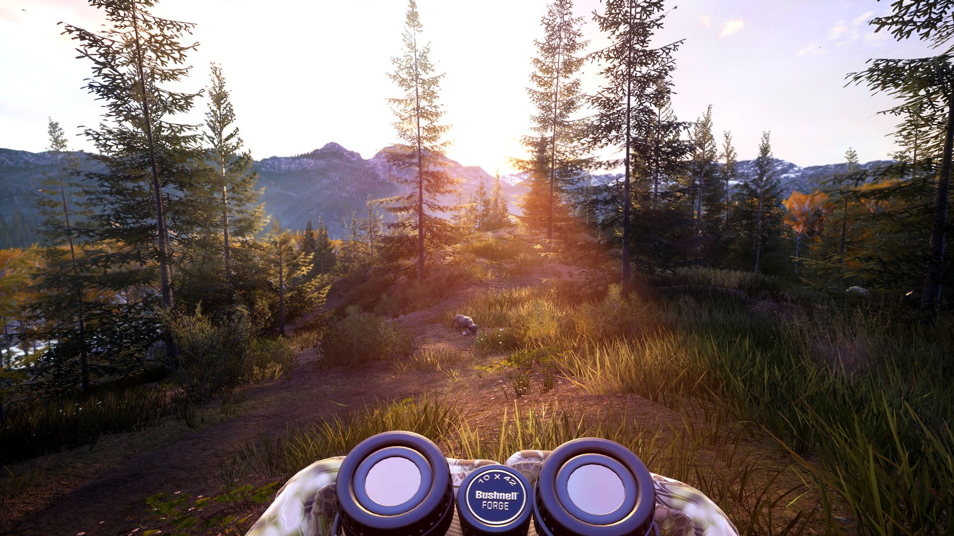模拟狩猎2.Hunting Simulator 2 第3张