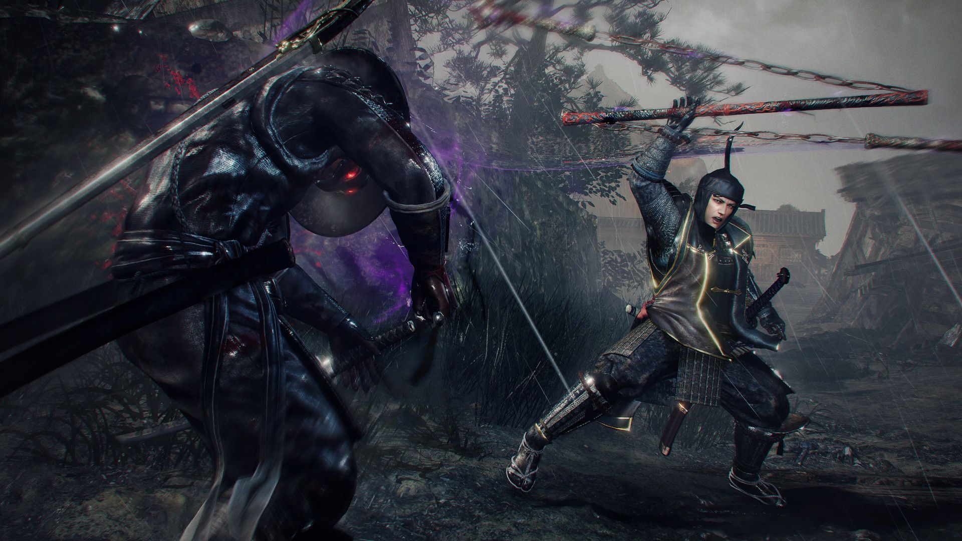 仁王1&2 合集 The Nioh Collection - PS5小白盒 仁王1&2 合集 The Nioh Collection - PS5小白盒