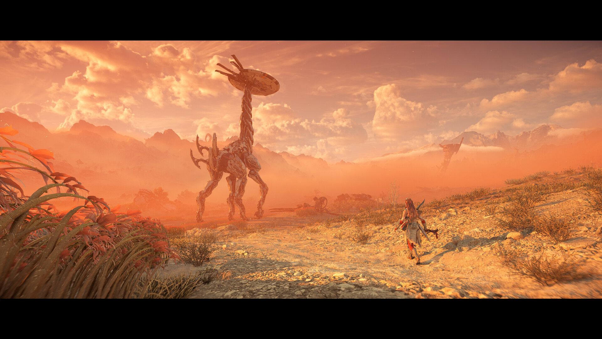 地平线:西之绝境 – 完整版 - PS5小白盒 地平线:西之绝境 – 完整版 - PS5小白盒